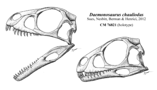 <i>Daemonosaurus</i> species of reptile (fossil)