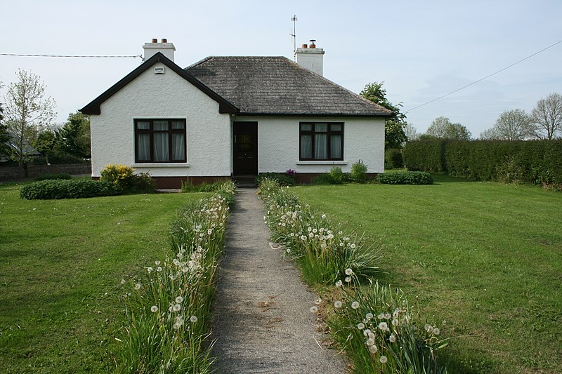 File:Daffodils and dandelions, County Galway - geograph.org.uk - 1872401.jpg