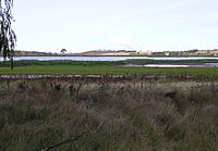 Dangars Lagoon, Uralla, NSW