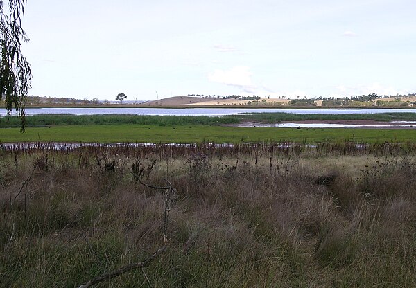 Dangars Lagoon, Uralla