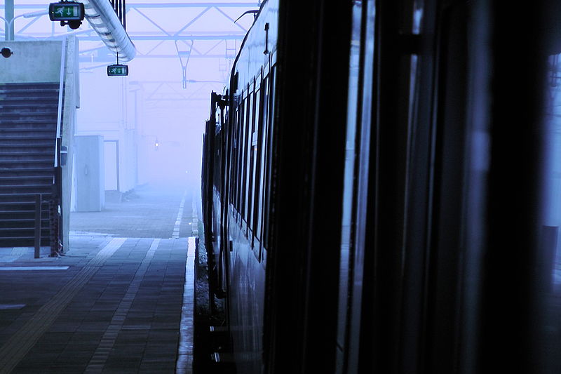 File:Den Haag Central station train mist.JPG