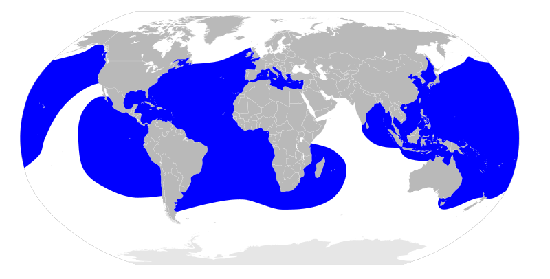 File:Dermochelys coriacea map.svg