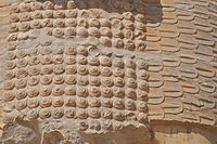 Close-up of one of the Lamassu beard relief in Gate of All Nations in Perspolis (south of Iran).