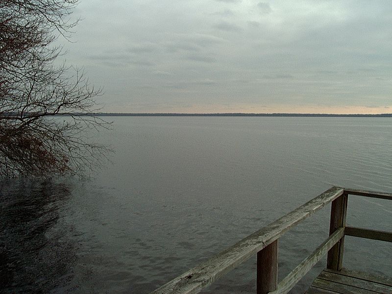 File:Dismal Swamp01.jpg