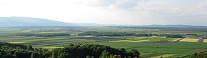 Panorama Dravskog polja