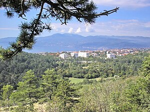 Drenova, Rijeka