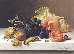 Trauben, Pfirsiche und Pflaumen auf einem Marmorsims