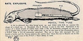 <span class="mw-page-title-main">Explosive rat</span> Weapon developed during World War II