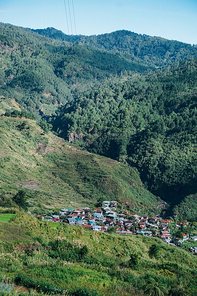 File:Fidelisan Village and their rice terraces.jpg