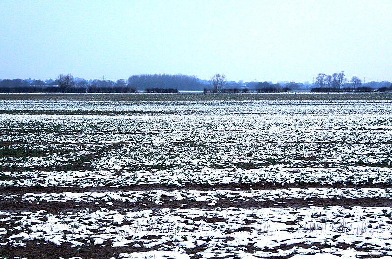 File:Field near Woodeaton - geograph.org.uk - 3334111.jpg