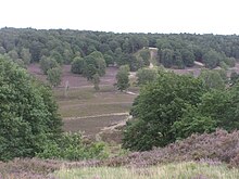 Trockental in der Fischbeker Heide