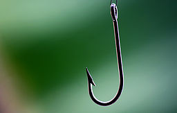 Fish-hook