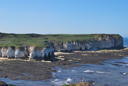 The chalk cliffs at Flamborough Head