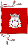Bandeira de Folhadela