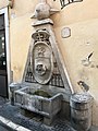 wikimedia_commons=File:Fontana Piazza della Cancelleria.jpeg