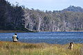 Four Springs Lake, near Westbury, Tasmania, Australia