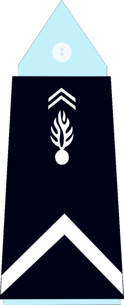 File:France (Gendarmerie) OR-5b.svg