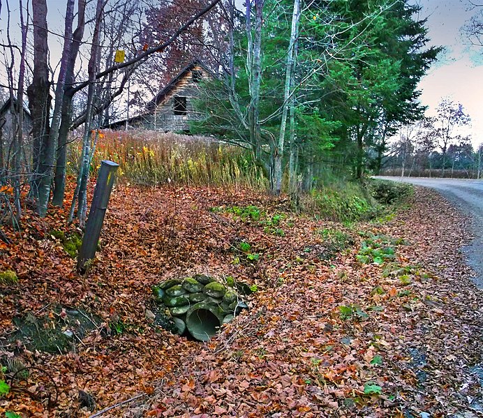 File:French road automn 2012 - panoramio.jpg