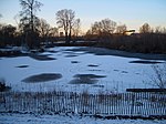 Washington Park Arboretum