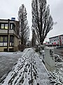 Fußweg Schnee Hof 20191213 01.jpg