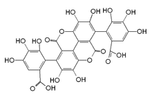 Chemická struktura kyseliny gallagové