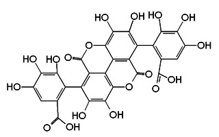 Gallagic acid chemical compound
