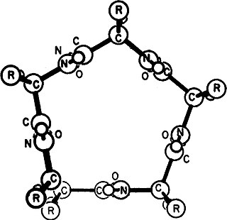 <span class="mw-page-title-main">Gamma helix</span>