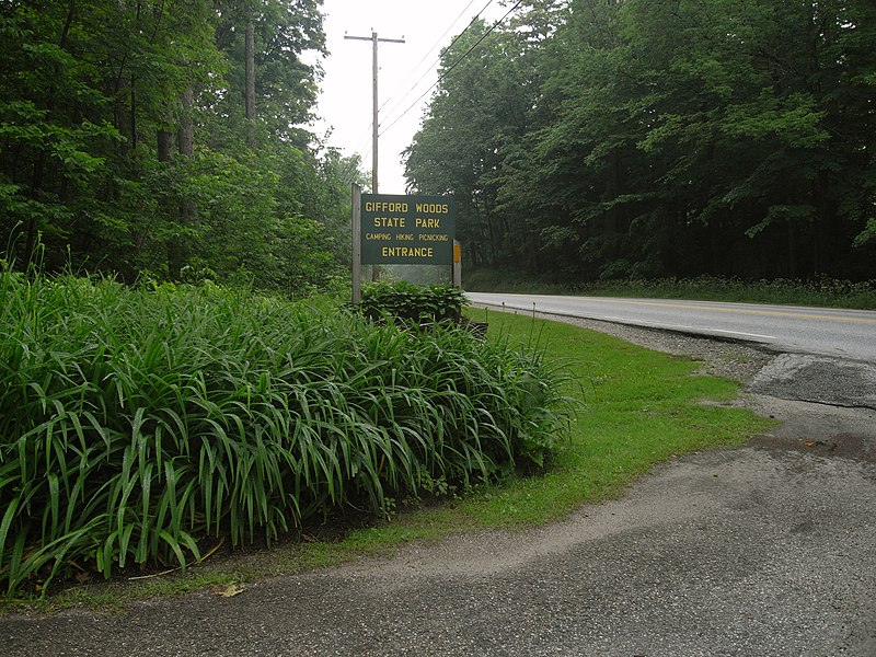 File:Gifford woods state park (2601284043).jpg