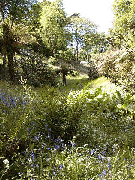 File:Glendurgan View 03.jpg