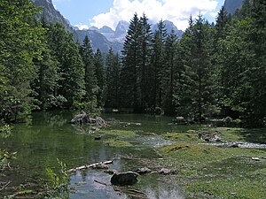 Gosaulacke with a view of the Dachstein.jpg