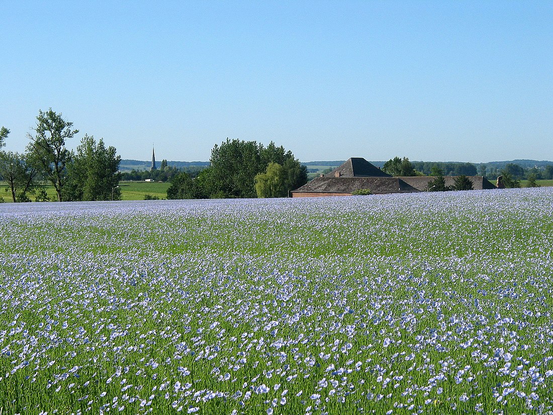 Battle of Grand-Reng