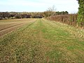 Thumbnail for File:Green belt on Sedgeford Road, Norfolk - geograph.org.uk - 2323130.jpg