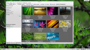 Thumbnail for File:Gwenview es 4.14.0 03.png