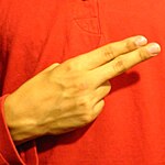 The "H" handshape produced with the the back of the hand facing the camera