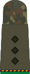 Hauptmann d.R. (Mech. infantry reserves)