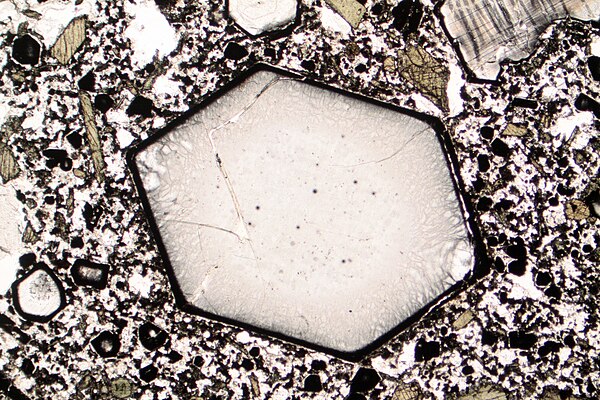 A volcanic rock from Italy with a relatively large six-sided phenocryst (diameter about 1 mm) surrounded by a fine-grained groundmass, as seen in thin