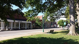 <span class="mw-page-title-main">Hale Avenue Historic District</span> Historic district in Arkansas, United States