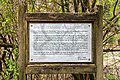 * Nomination Witch or Süntel beech (natural monument HT 3) at the Waldbeerenberg near Haltern am See, North Rhine-Westphalia, Germany --XRay 04:42, 8 May 2022 (UTC) * Promotion  Support Good quality -- Johann Jaritz 05:19, 8 May 2022 (UTC)