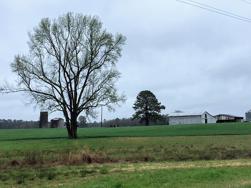 File:Hamill Farm Barn and Pasture.jpg