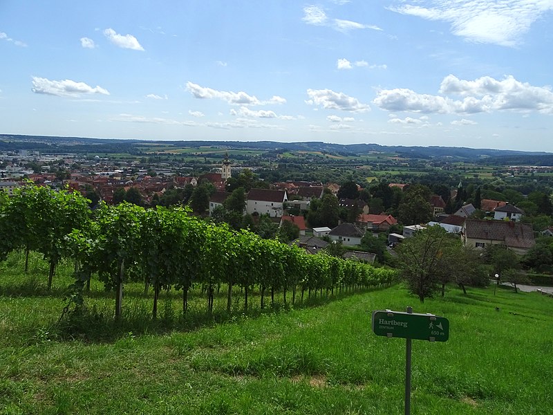 File:Hartberg von NW 01.jpg