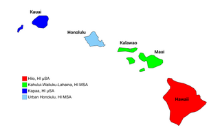 <span class="mw-page-title-main">Hawaii statistical areas</span> Hawaii statistical areas