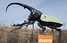 Herkimer, the world's largest beetle (2018). Herkimer, the world's largest beetle.jpg