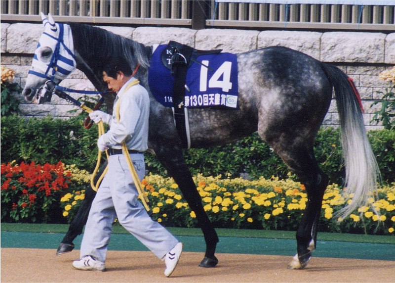 File:Hishi Miracle 20041031P1.jpg