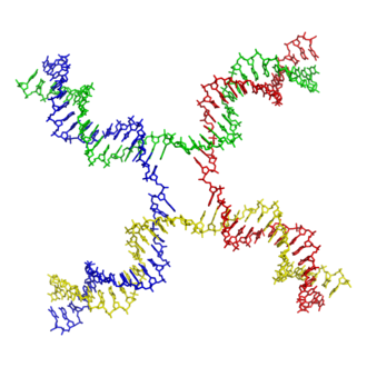 Jonction de Holliday (PDB 3CRX).