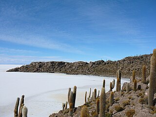 <span class="mw-page-title-main">Caquena Canton</span> Canton in Potosí Department, Bolivia