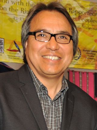 <span class="mw-page-title-main">James Anaya</span> American lawyer and professor