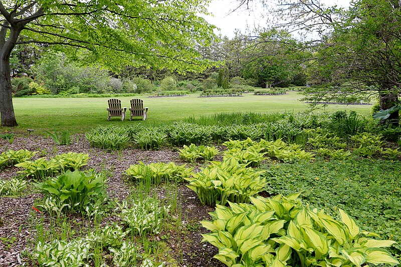 File:Jardin botanique Roger-Van den Hende 021.jpg