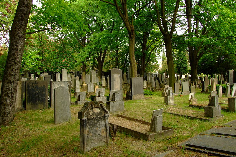 File:Jewish cemetery in Brno-Židenice 3.JPG