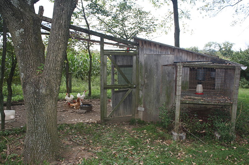 File:Joel Dreibelbis Farm Turkey Shed.JPG