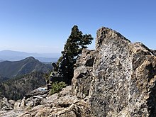 山上ヶ岳鐘掛岩の頂上（奈良県天川村）